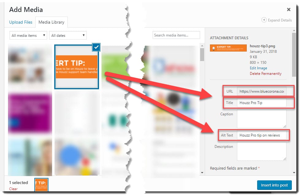Enter Alt Text in Images Enter Alt Text in Images
