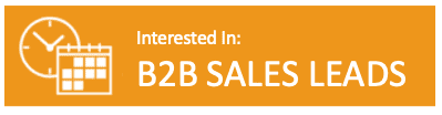 B2B LEADS REQUEST